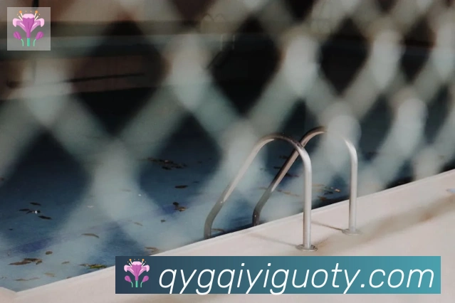 App Interface Preview