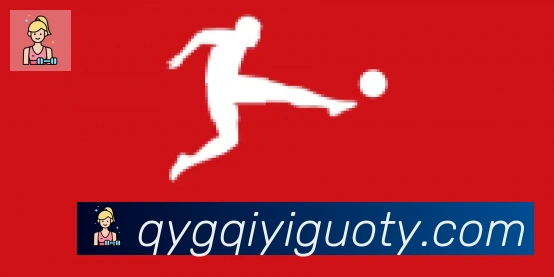 奇异果体育合作伙伴